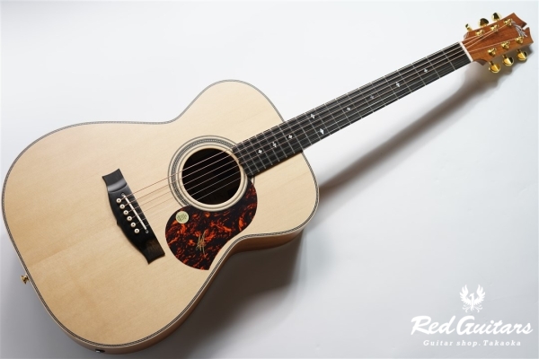 EBG808 ARTIST